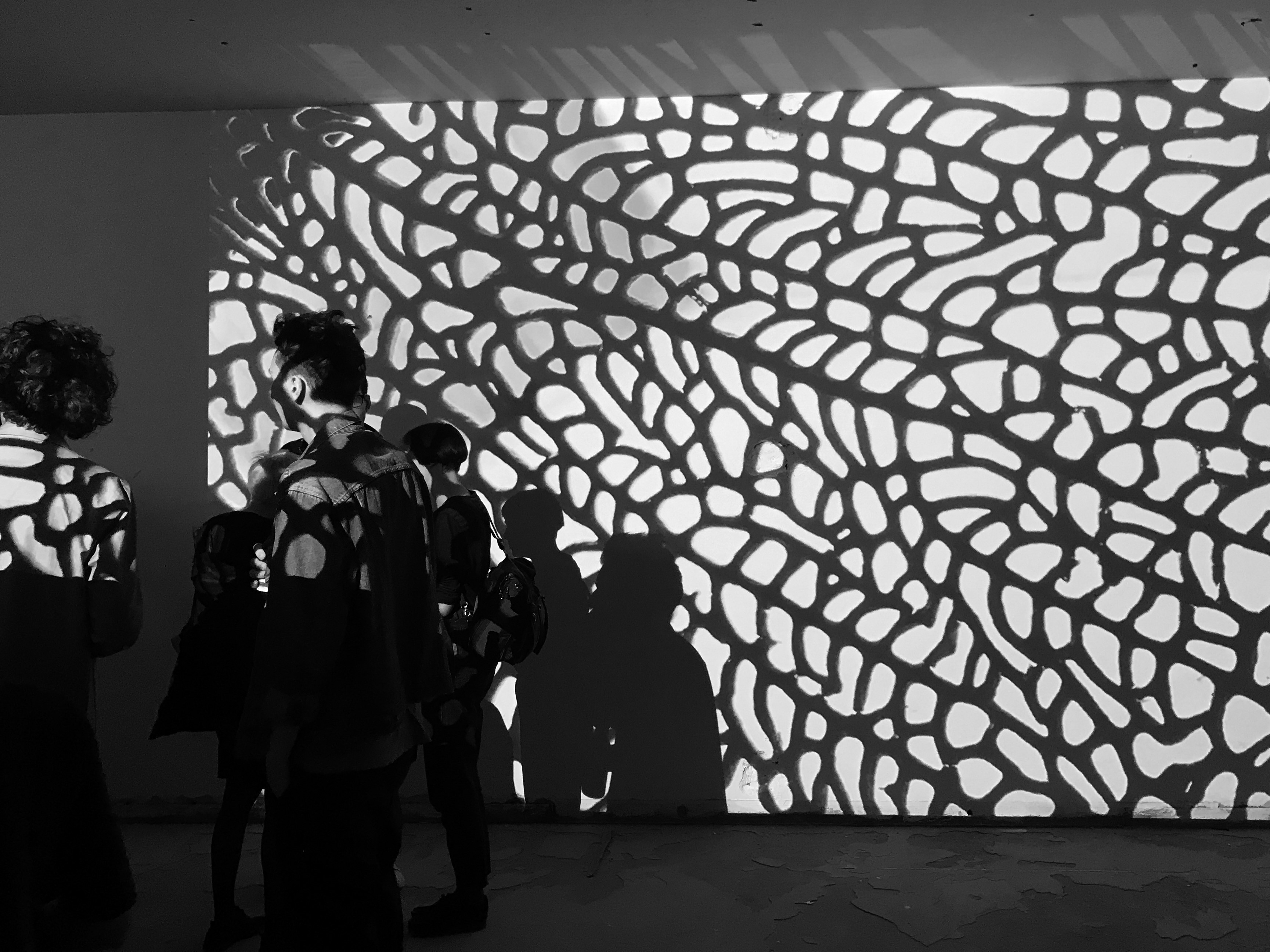 PATTERNITY