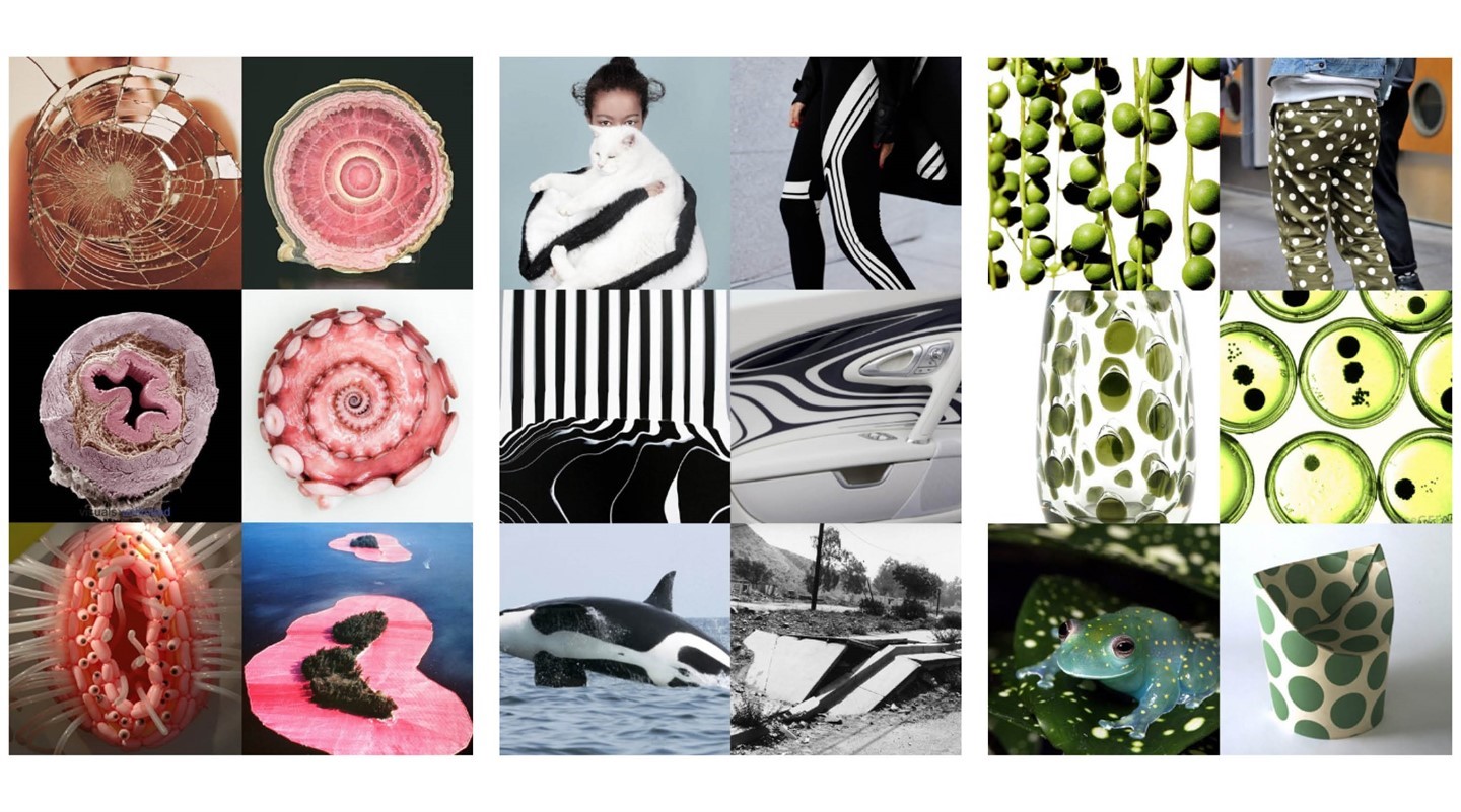 Patternity Simple Decorating Design Patternity Simple Decorating Design